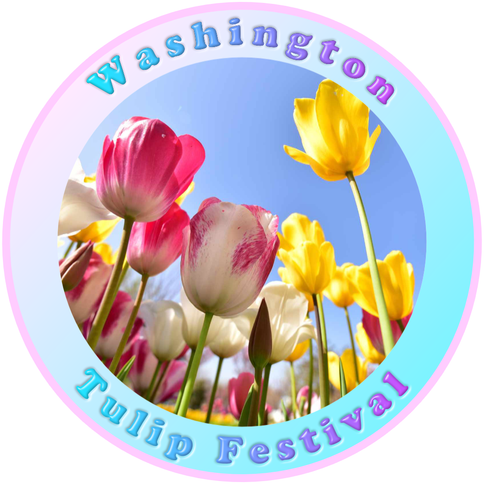 Washington Tulip Festival Launches Innovative New Website for 2024 Event